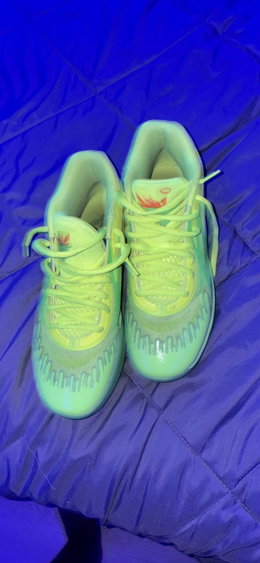 Shoes Lanvins Jordan 11