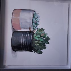 Succulent  Pictures  & Rae Dunn Wall Planter