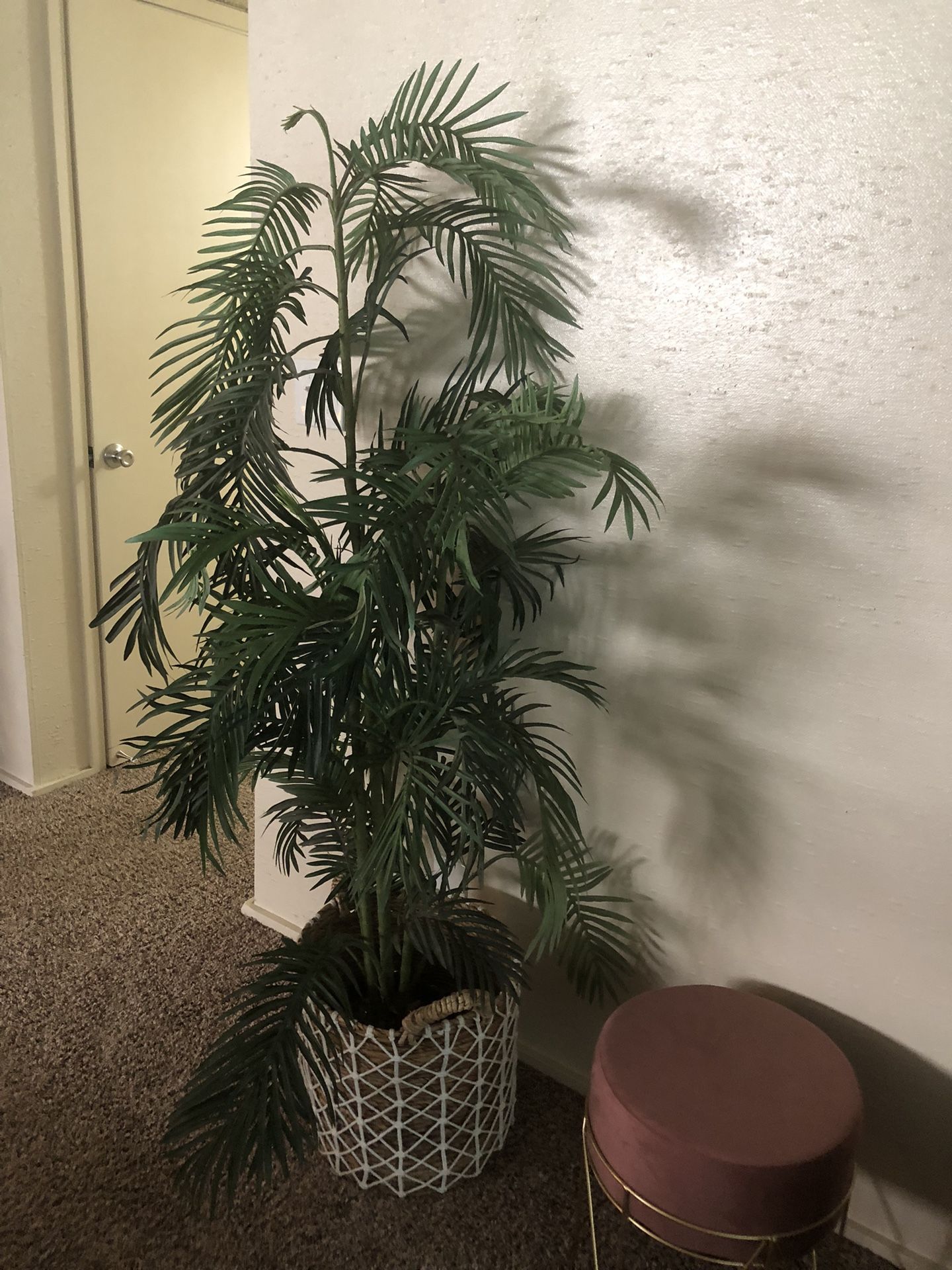 Artificial Plant For Sale Asking $40 Obo