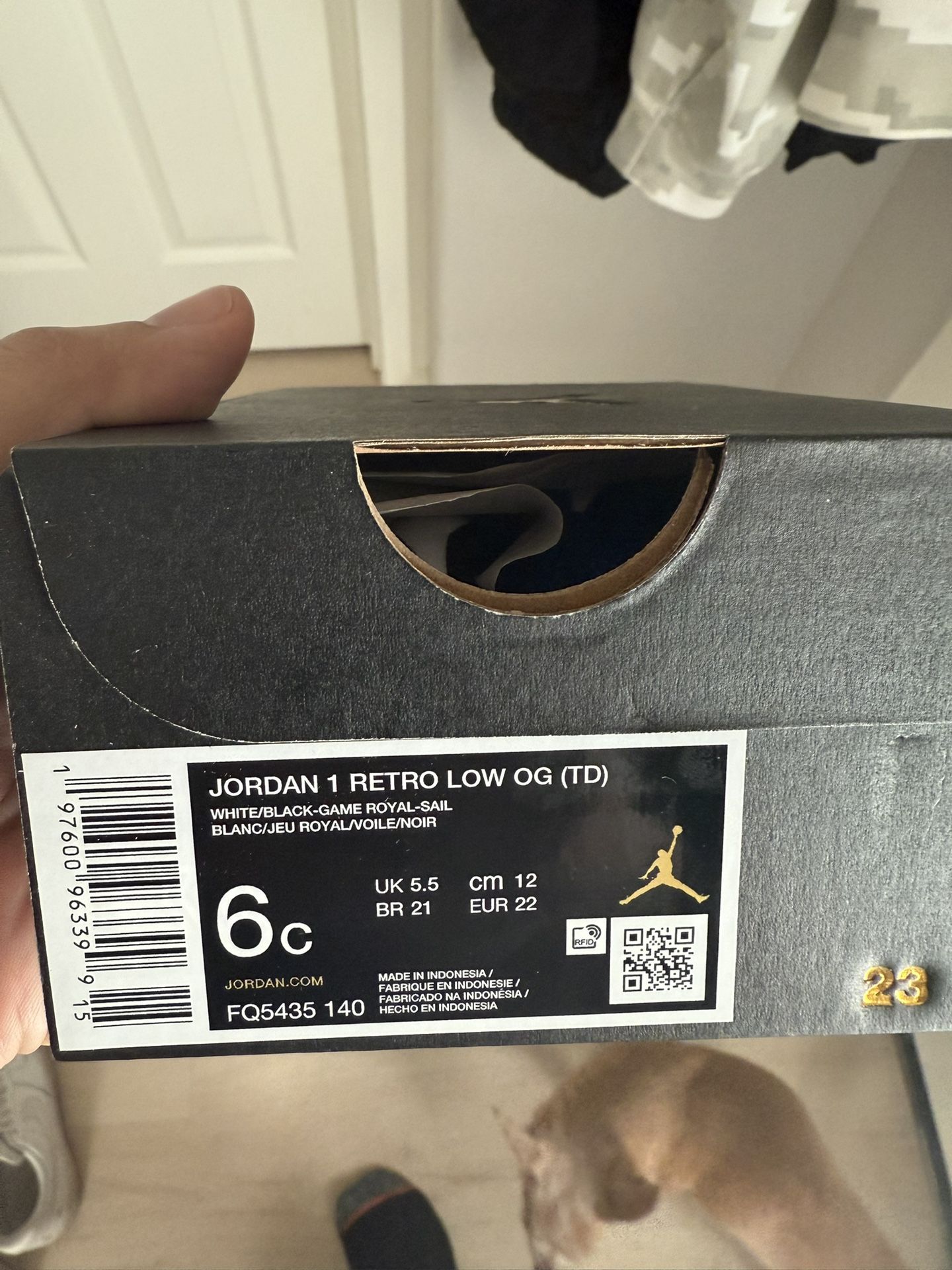 Jordan 1 Retro Low