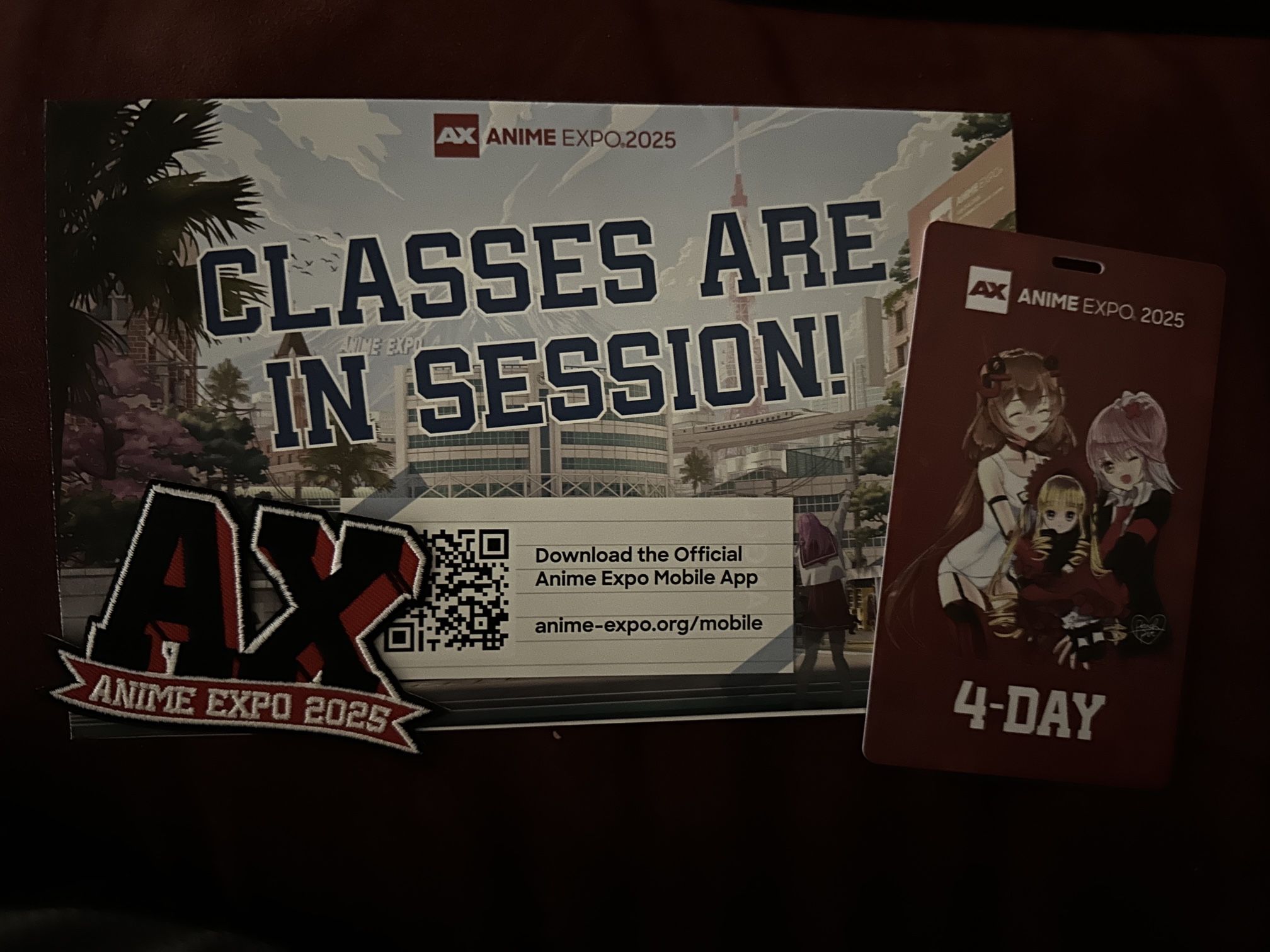 4-Day Anime Expo 2025 Badge