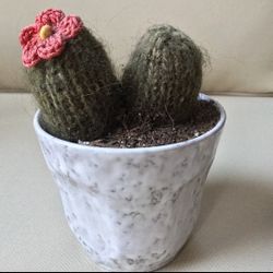 Knit Cactus