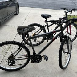 Schwinn & Roadmaster