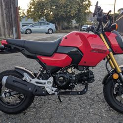 2025 Honda Grom Clean Title Motorcycle
