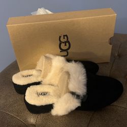 Ugg Slippers