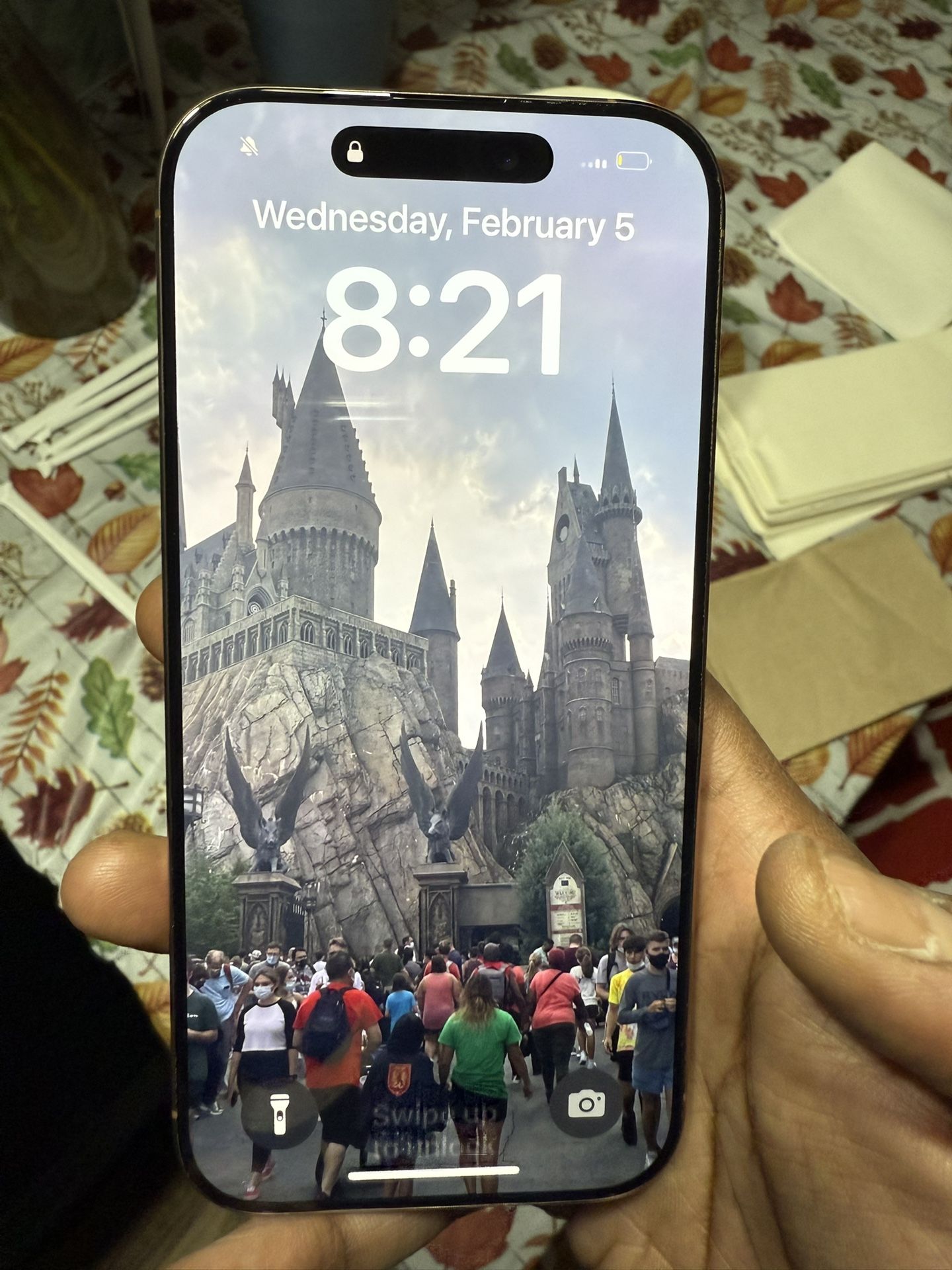 Apple iPhone 16 Pro With TikTok App