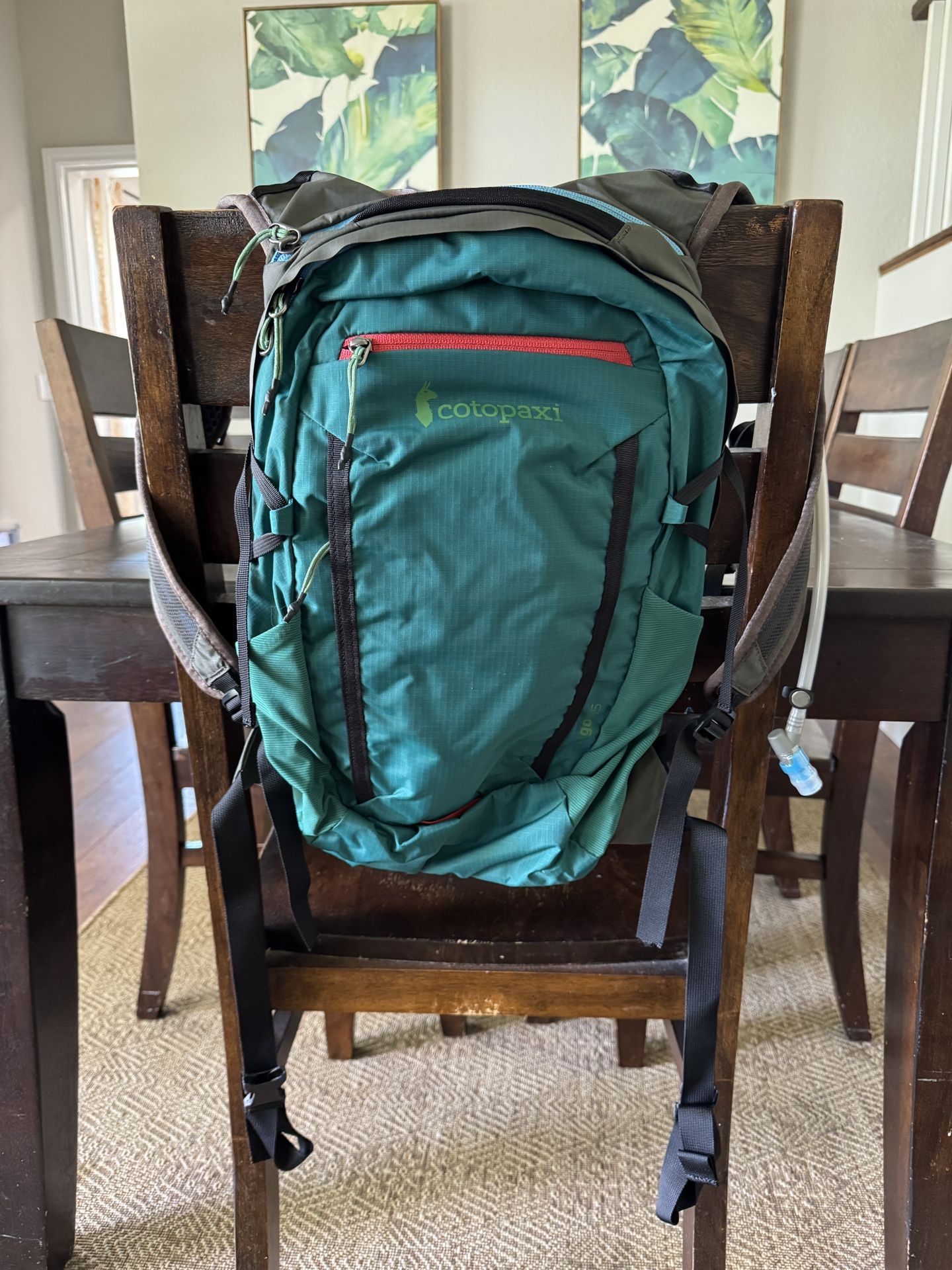 Cotopaxi Lagos 15L Hydration Pack Backpack