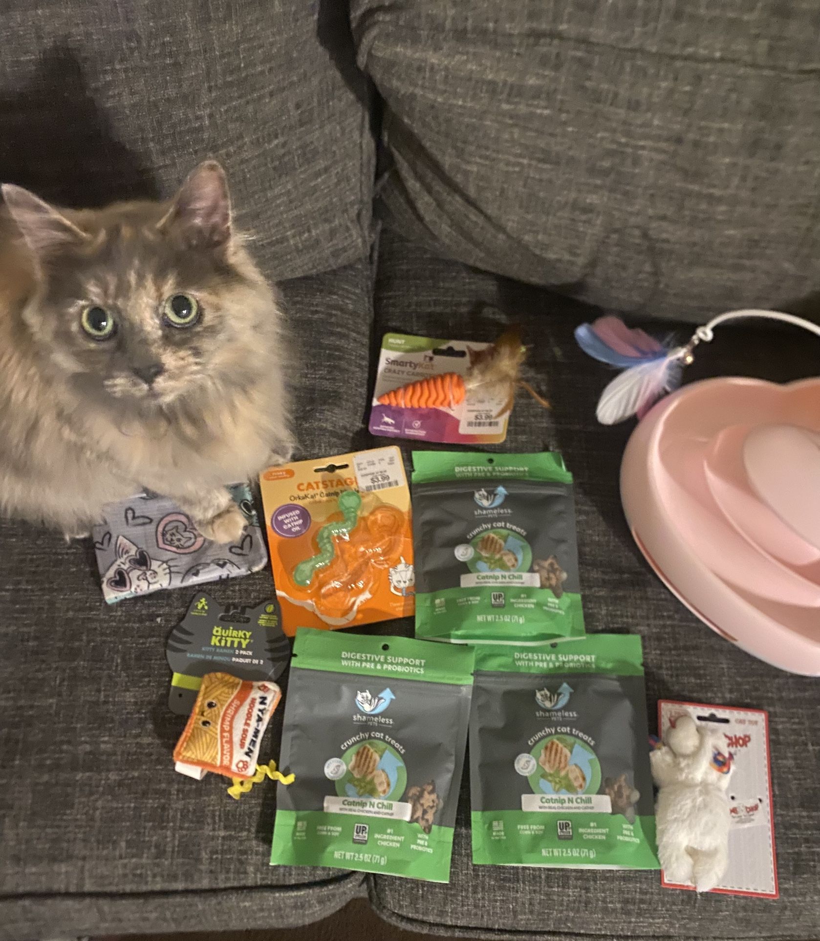 Cat stuff