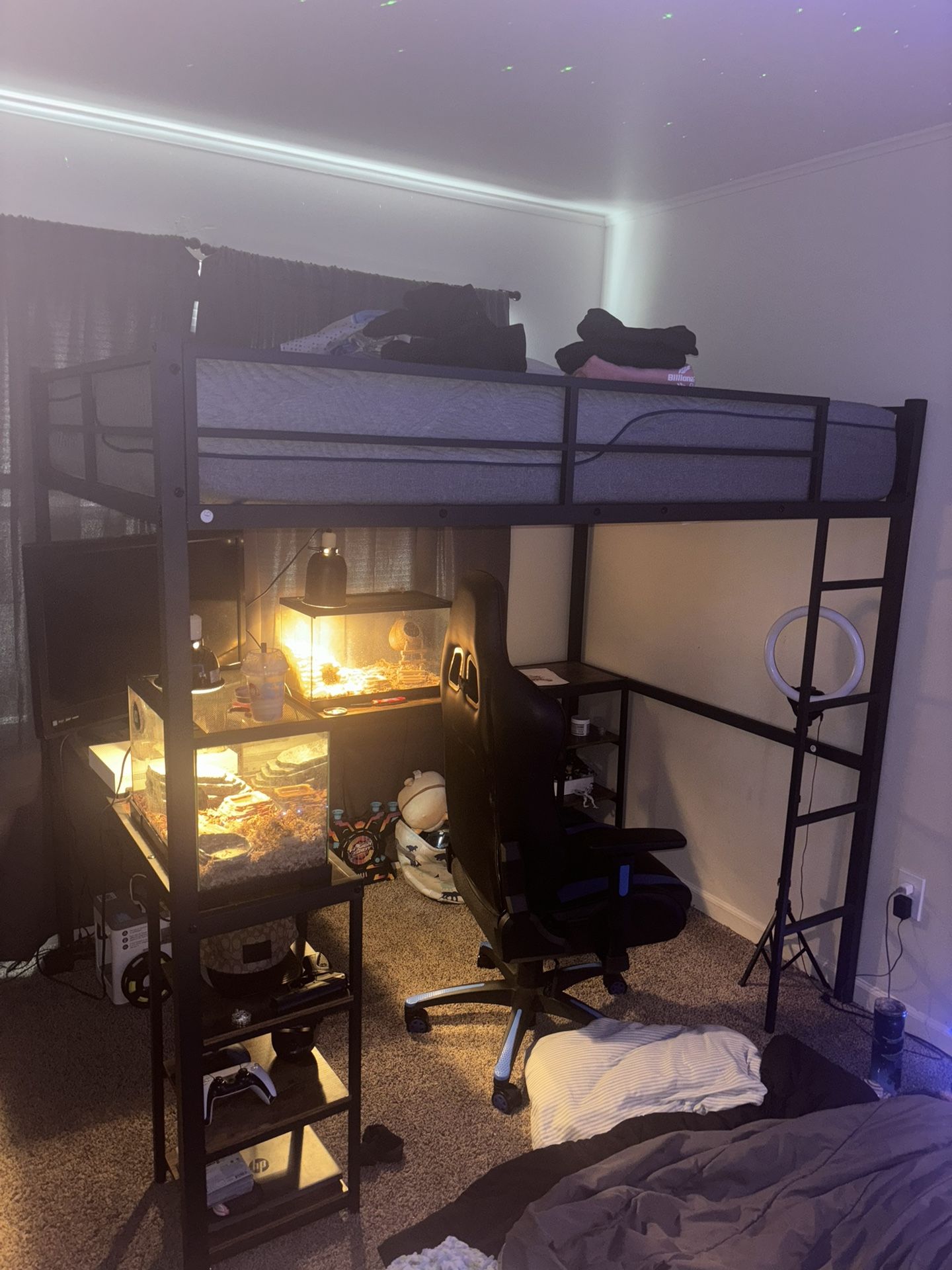 Loft Bunk Bed (FRAME ONLY)