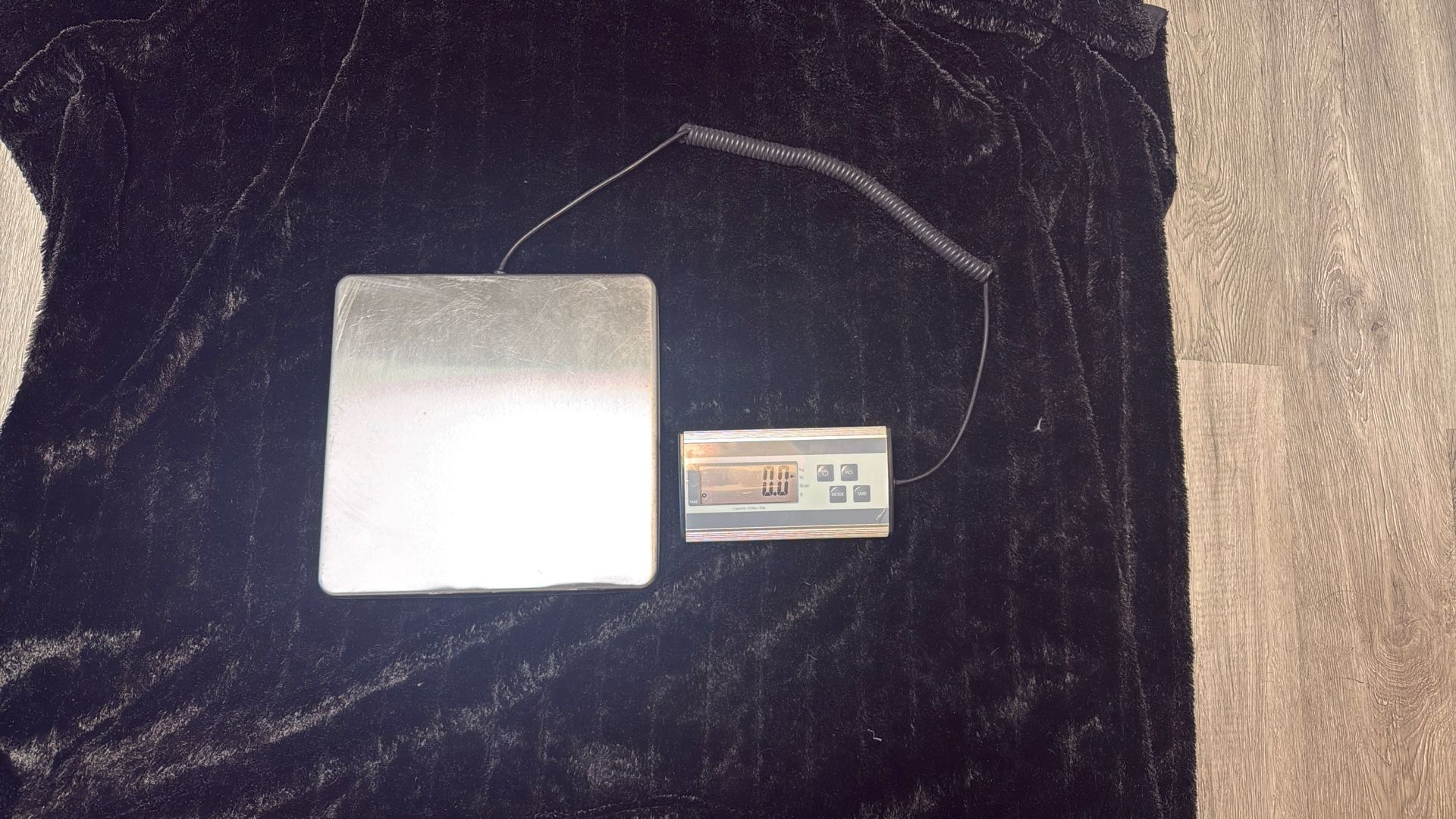 Scale