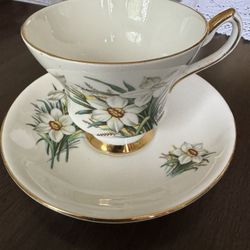 Windsor Bone China Tea Cup And Saucer