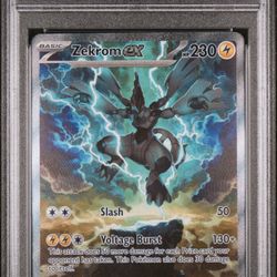 🔥 PSA 10 Zekrom ex – Special Illustration Rare (2025) 🔥
