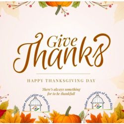 Broyhill Drawers Two