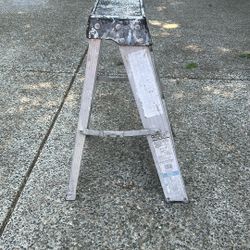 2’ Ladder