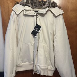 Hollister Jacket