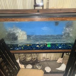 Fish tank with stand 