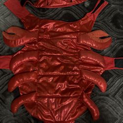 Lobster dog costume 