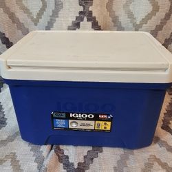 Igloo Cool 9 Cooler