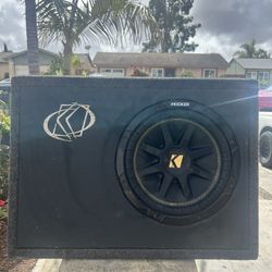 10in Subwoofer 