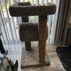 Cat Tree