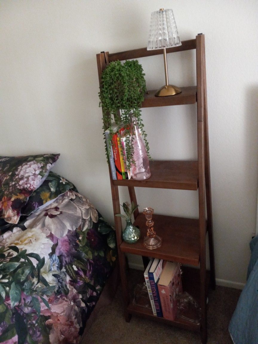 Ladder Book Shelf