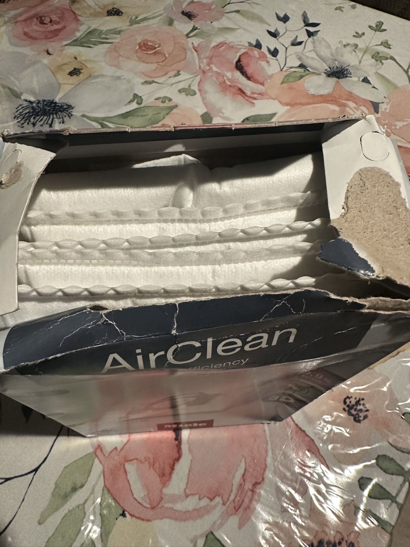 Air Clean
