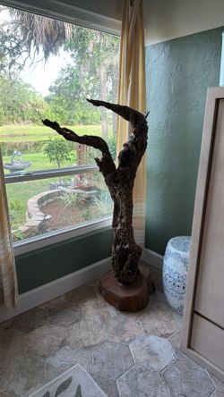 Worm wood drift wood sculptural piece