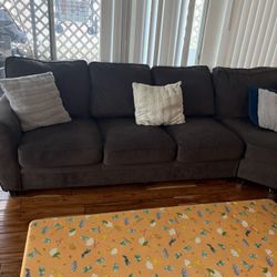 Family Couch With A Pull Out Bed