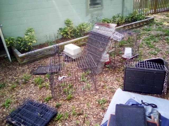 Oh Dog Cages For $10