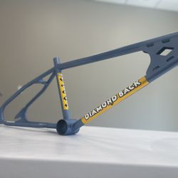 1980s Diamondback Silver Streak Old School B