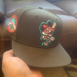 Detroit tiger swinging 🐯 Size 73/4 Just Tryed On