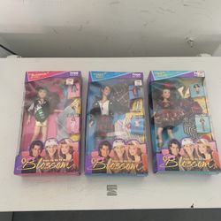 Blossom Dolls Tyco