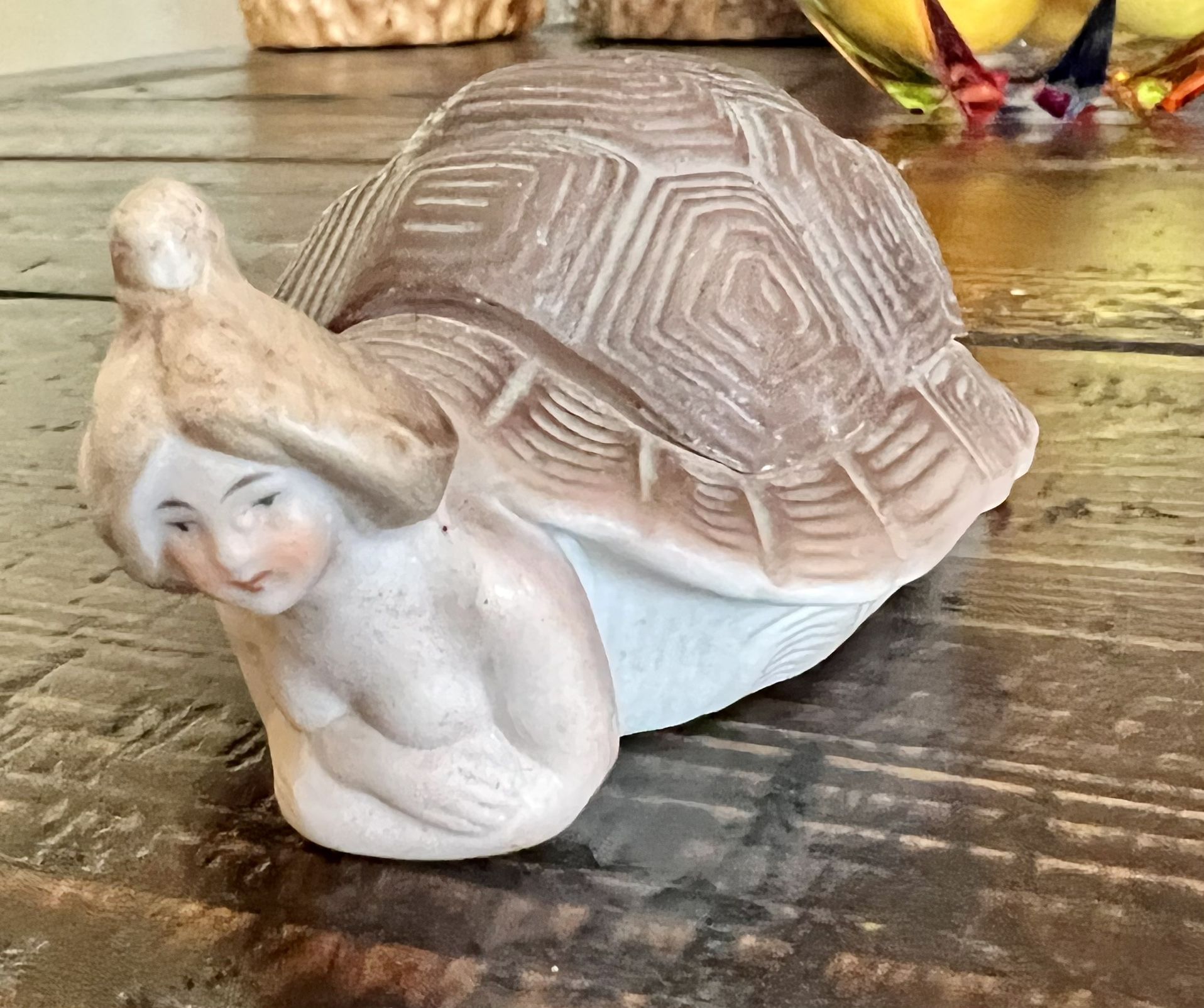 Antique Turtle Bathing Beauty
