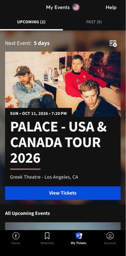 Palace USA Tour concert (2 tickets)