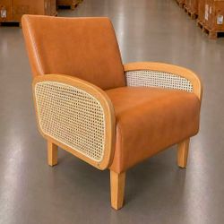 Accent Chair New