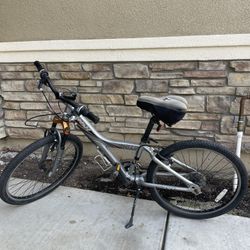 Giant MTX 250 Bike