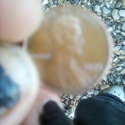 1976 Lincoln Penny With NO MINT MARK.   