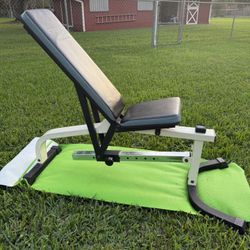 True FID Fully Adjustable Heavy Duty Weight Bench