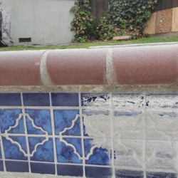 New Pool Finish, New Tile, Tile Cleaning 