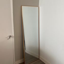 Used Standing Mirror