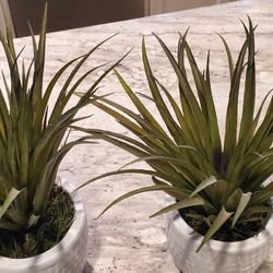 Pair Faux Grass Plants In 5 Inch Pots