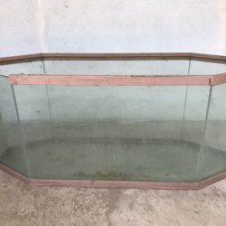50 Gallon (approximate) Aquarium