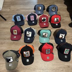 Hats