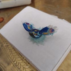 Pokemon Figure Don't Miss Out