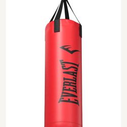 70lb Everlast Punching Bag with Chain