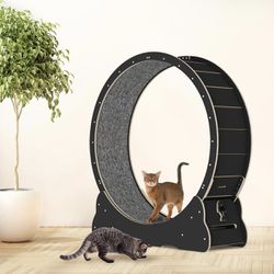 Cat Wheel 