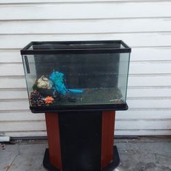 30 Gallon Fish Tank. Aquarium  And Coral Rock And Black Light.   Table Stand Is Included 