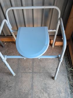 Adult toilet seat