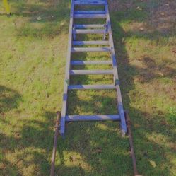 Warner Adjustable 16 Ft Ladder