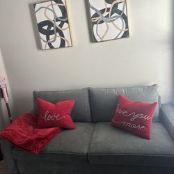 Gray Sofa / Couch 
